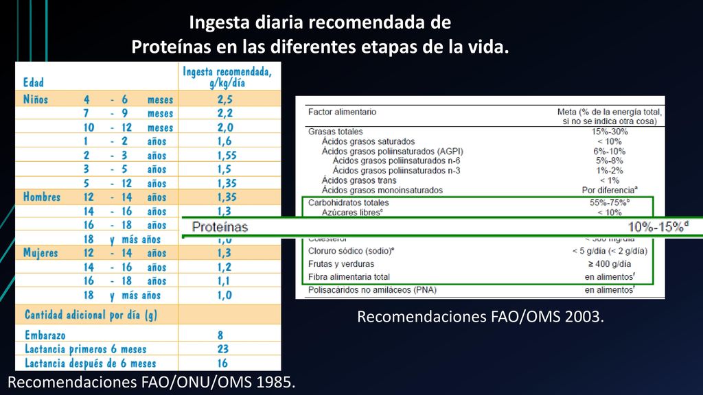 Dosis diaria recomendada proteina